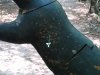 picture 226